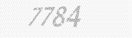 Visual security code — type the characters shown in the image